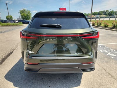2024 Lexus NX 250 Premium