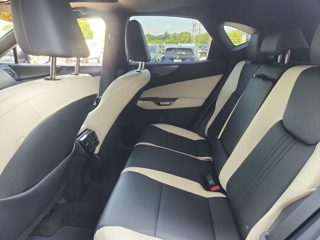 2024 Lexus NX 250 Premium