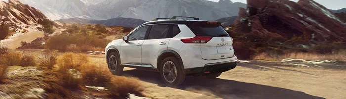 Performance and Specs